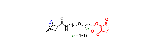 Norbornene-PEGn-NHS ester